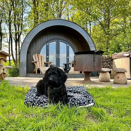 Catgill Farm Kemping